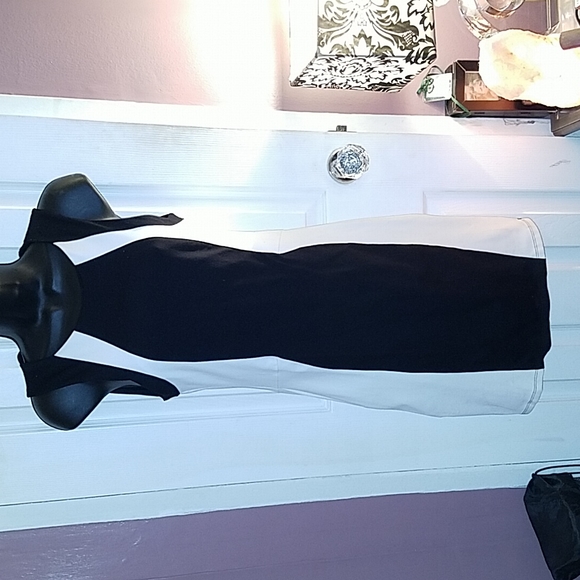 DAVID LERNER Colorblock Dress - Picture 3 of 7